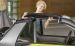 Smart Fortwo Cabrio 2016 Widescreen Picture #9