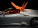 Spyker 2009 C8 Aileron Spyder Picture #19