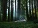 Subaru Outback 2015 Picture #32