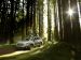 Subaru Outback 2015 Picture #16