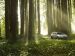 Subaru Outback 2015 Picture #44