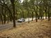 Subaru Outback 2015 Picture #6