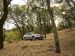 Subaru Outback 2015 Picture #4