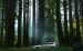 Subaru Outback 2015 Widescreen Picture #38
