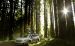 Subaru Outback 2015 Widescreen Picture #14