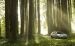Subaru Outback 2015 Widescreen Picture #20