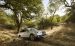 Subaru Outback 2015 Widescreen Picture #41