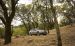 Subaru Outback 2015 Widescreen Picture #53