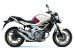 Suzuki 2009 Gladius Picture #24