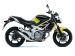 Suzuki 2009 Gladius Picture #12