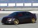 Suzuki 2010 Kizashi Soleil by Westside Picture #12