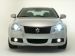 Suzuki 2010 Kizashi Picture #18