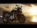 Suzuki Bandit 1250SA Picture #10