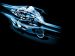 Suzuki GSX R600 2011 Picture #6