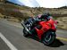 Suzuki Hayabusa GSX 1300R Picture #19