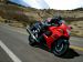 Suzuki Hayabusa turns 10 Picture #21