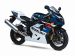Suzuki SuperSport 2004 Picture #1