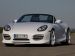 Techart 2010 Porsche Boxster Picture #2