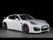 Techart Concept One 2010 Picture #15