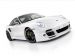 Techart Porsche 911 Turbo 997 Picture #1
