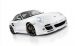 Techart Porsche 911 Turbo 997 Widescreen Picture #7