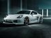 Techart Porsche Cayman 2013 Picture #5