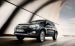Toyota RAV4 2010 Widescreen Picture #14