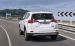 Toyota RAV4 Hybrid 2016 Widescreen Picture #87