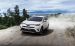Toyota RAV4 Hybrid 2016 Widescreen Picture #17