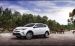 Toyota RAV4 Hybrid 2016 Widescreen Picture #65