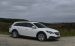 Vauxhall Country Tourer 2014 Widescreen Picture #39