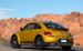 Volkswagen Beetle Dune 2016 Widescreen Picture #9