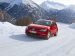 Volkswagen Golf 4MOTION 2014 Picture #31