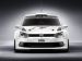 Volkswagen Polo R WRC 2011 Picture #2