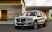 Volkswagen Tiguan Widescreen Picture #7