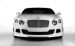 Vorsteiner BR 10 Bentley Continental Widescreen Picture #7