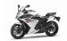 Yamaha 2009 FZ6R Widescreen Picture #35
