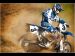 Yamaha 2009 YZ450F Picture #20