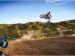 Yamaha 2009 YZ450F Picture #32