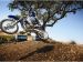 Yamaha 2009 YZ450F Picture #22