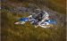 Yamaha 2009 YZ450F Widescreen Picture #7