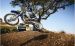 Yamaha 2009 YZ450F Widescreen Picture #1