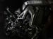 Yamaha MT 09 2014 Picture #6