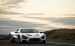 Zenvo Devon ST1 Widescreen Picture #46